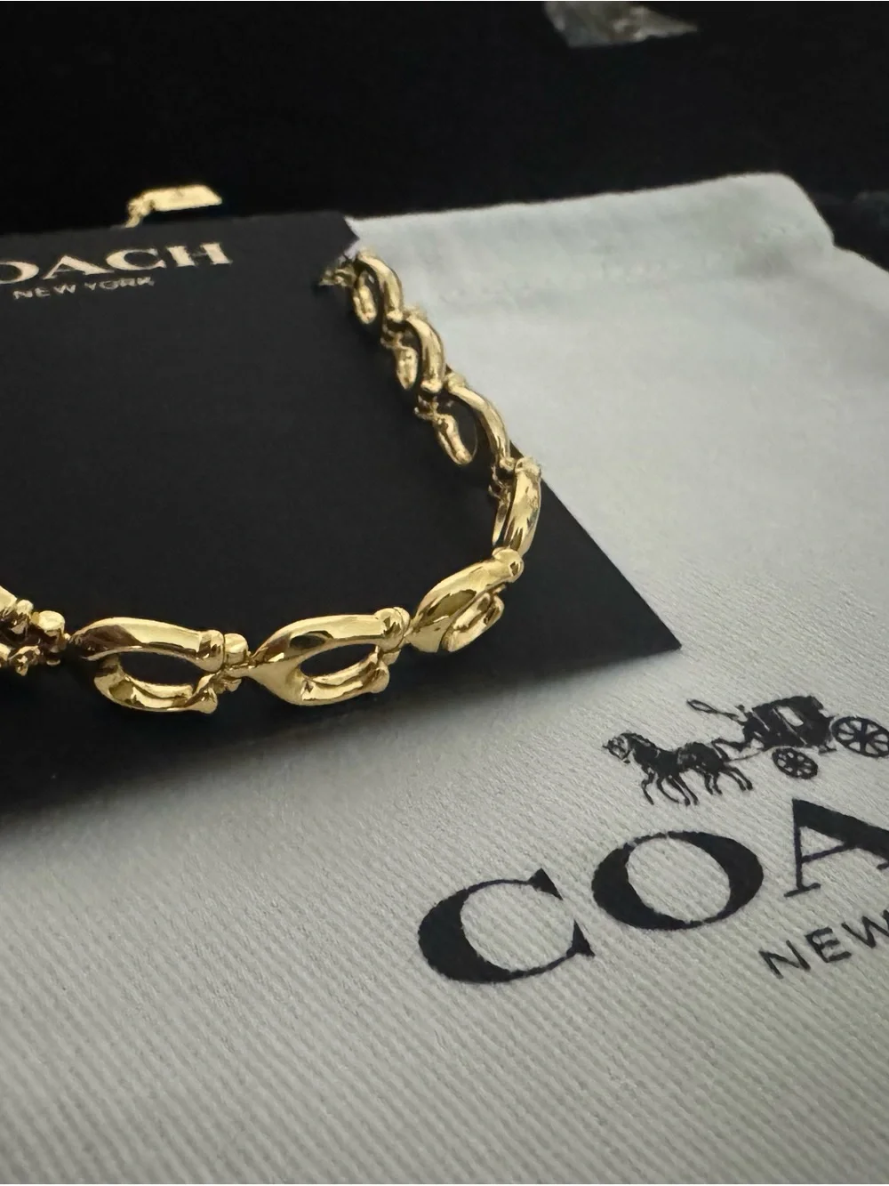 Coach Gold-Tone Link Slider Bracelet